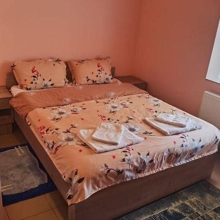 Pensiune Si Cazare La Mitza Giarmata Ngoại thất bức ảnh